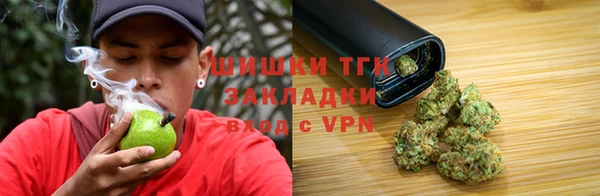 таблы Бородино