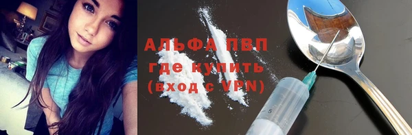 таблы Бородино