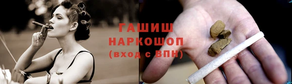 таблы Бородино