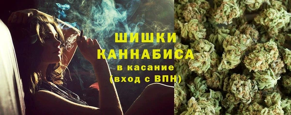 стаф Бугульма