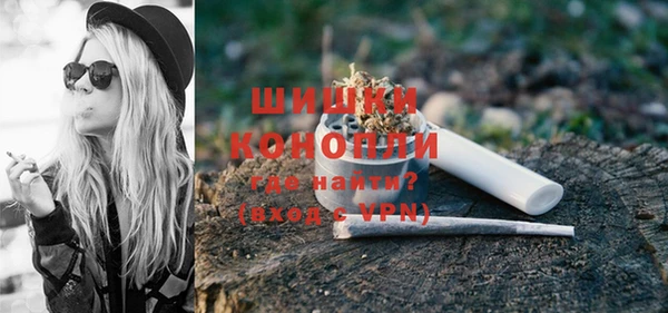 таблы Бородино