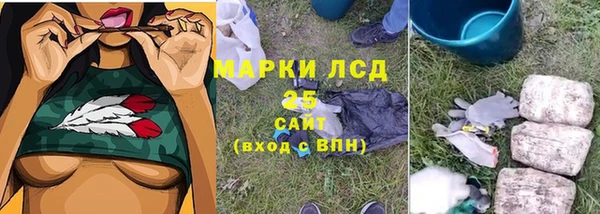 таблы Бородино